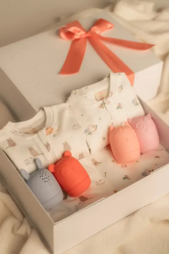 Twins Double Joy Baby Gift Set