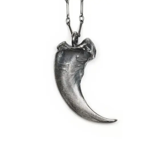Ursa Major: Black Bear Claw Necklace