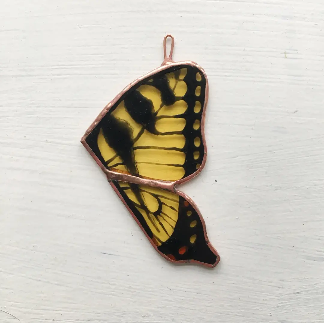 Swallowtail Butterfly Wings