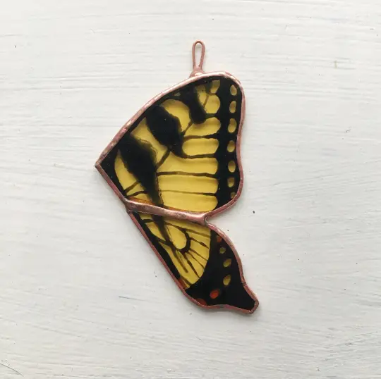 Swallowtail Butterfly Wings