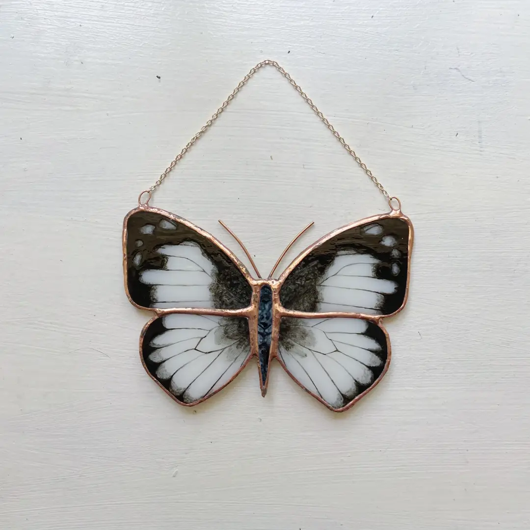 Common Albatross Butterfly