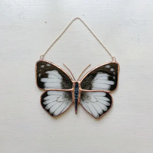 Common Albatross Butterfly