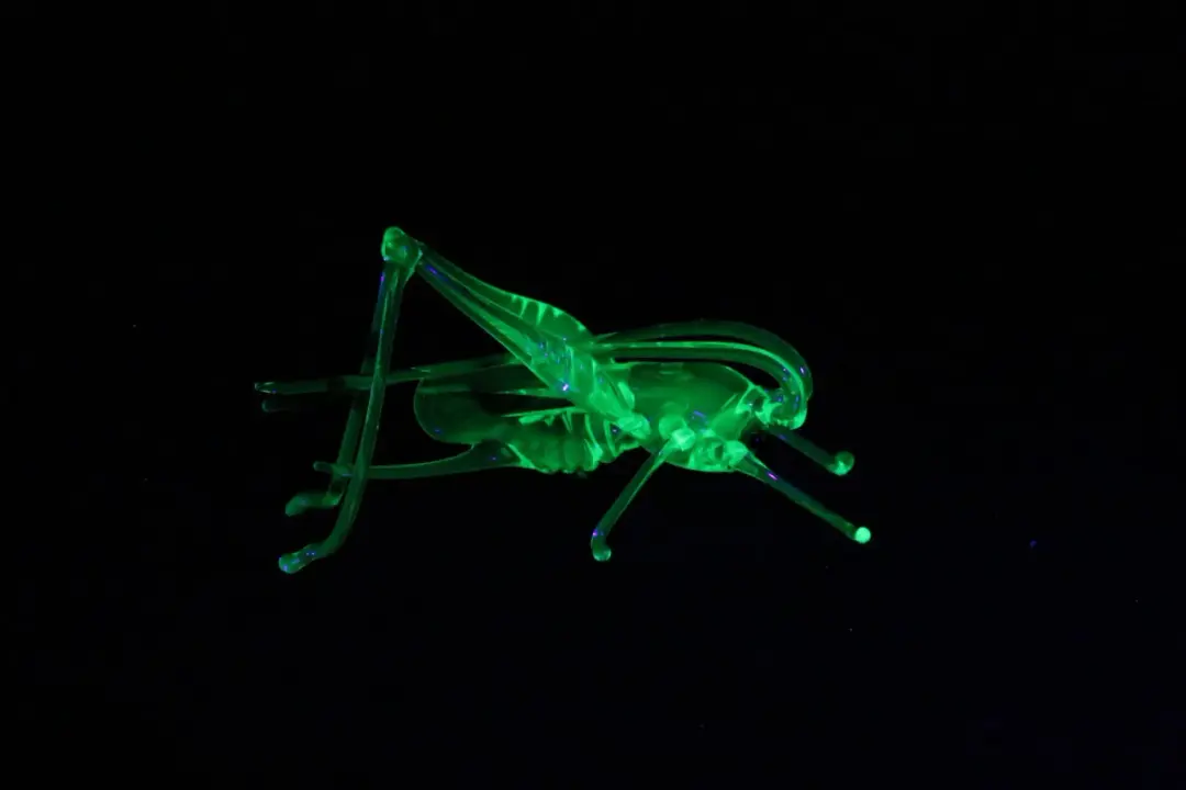 Uranium Glass Grasshopper Figurine | Glows Under UV | Handmade Miniature Art