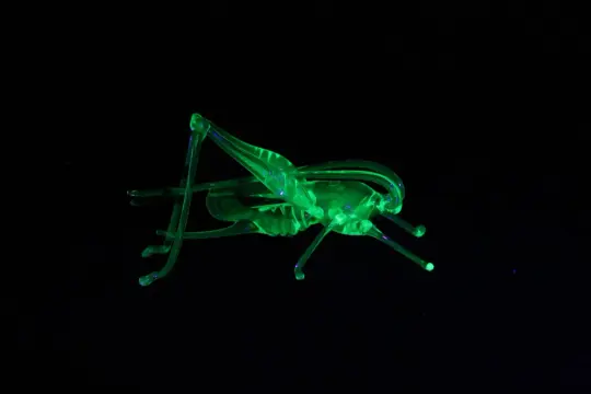 Uranium Glass Grasshopper Figurine | Glows Under UV | Handmade Miniature Art