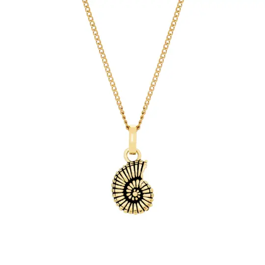 Ammonite Necklace