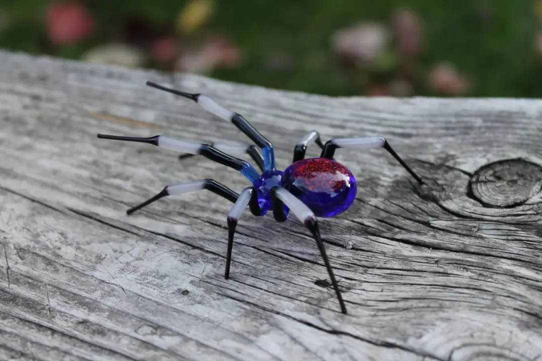 Unique Blue And White Glass Spider With Red Sparkle Abdomen