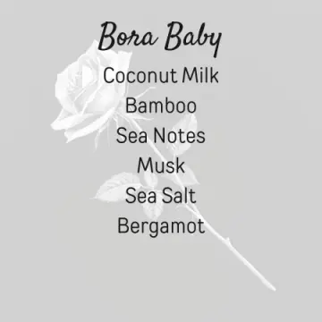 Bora Baby