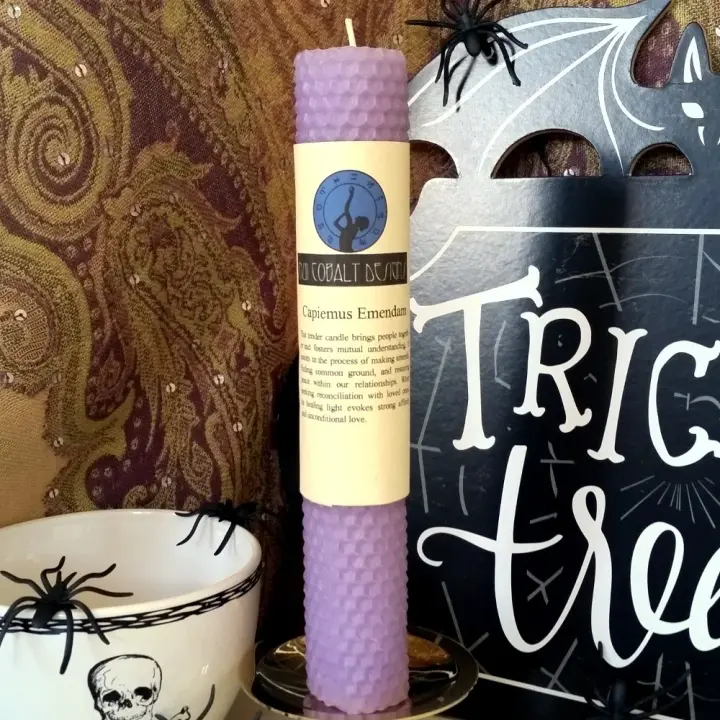 Capiemus Emendam Enchanted Candle