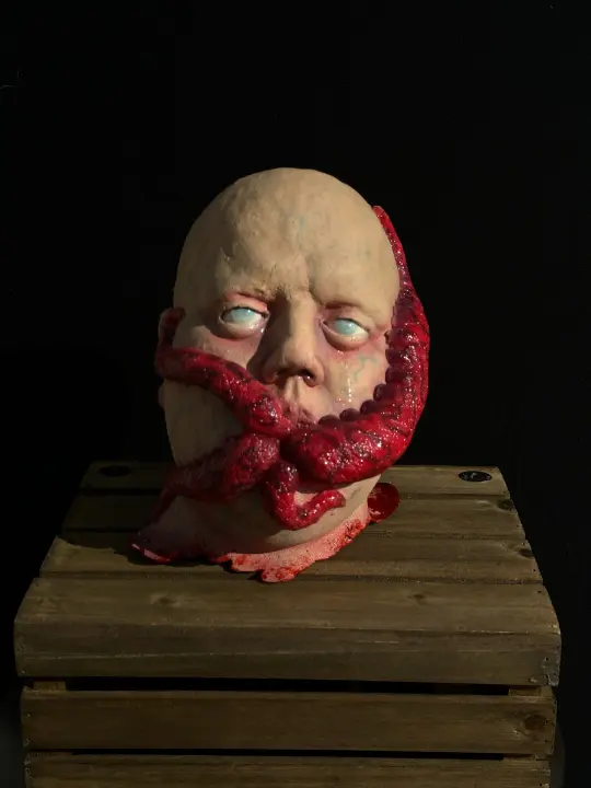 Octo Boy