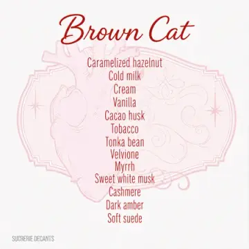 Brown Cat