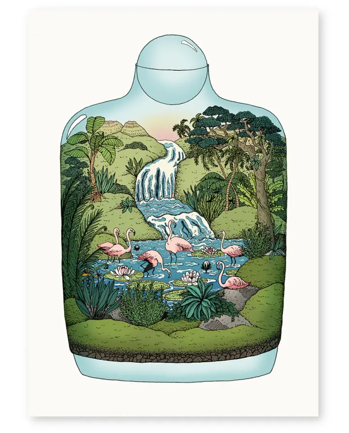 'Flamingo Falls' Limited Edition Art Print