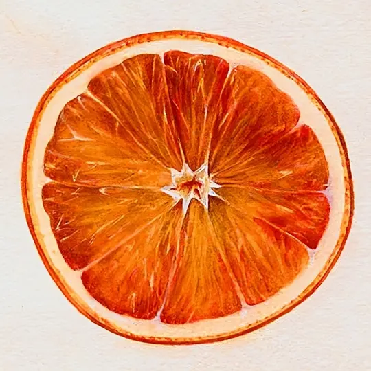 Blood Orange Perfume Oil