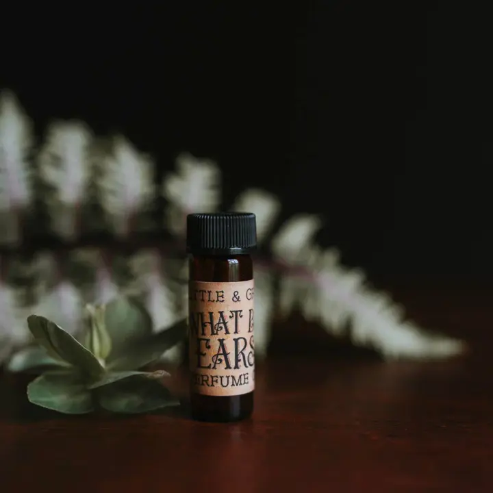 What Big Ears | Artisan Perfume