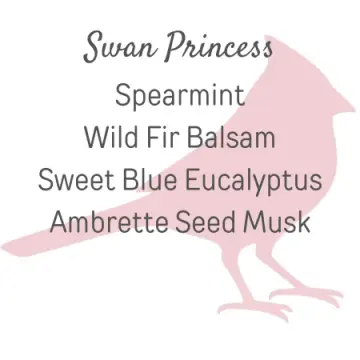 Swan Princess