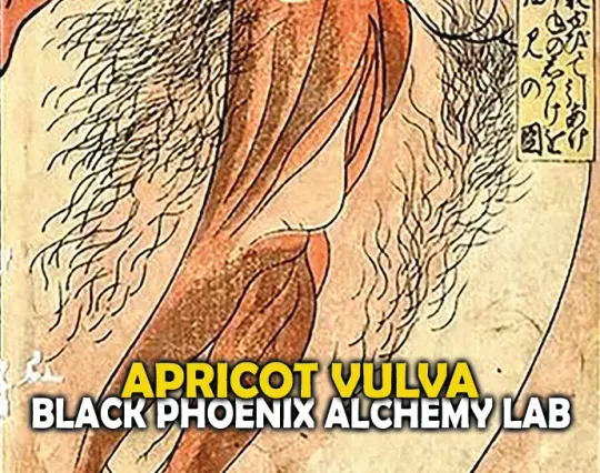 Apricot Vulva Perfume Oil