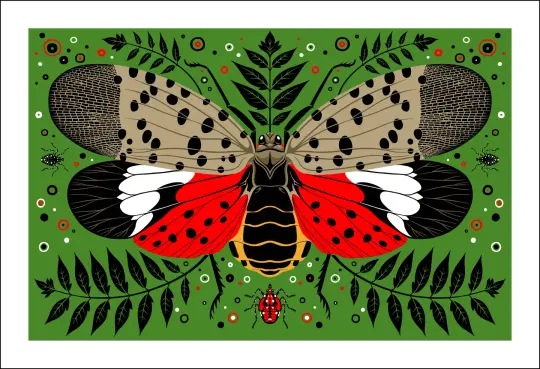 Spotted Lanternfly Print