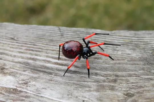 Red Spotted Black Glass Spider Figurine – Handmade Murano Art