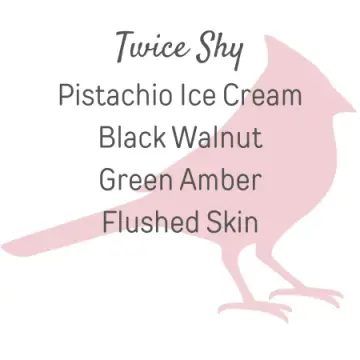 Twice Shy