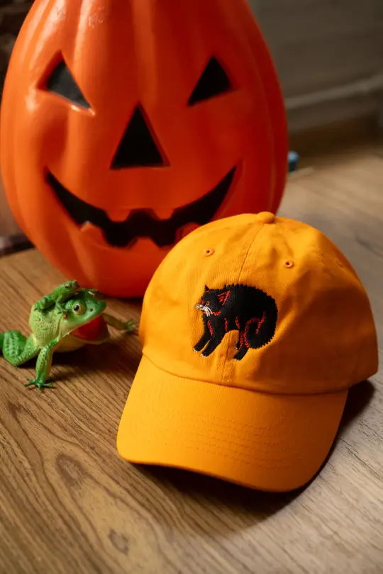 Scaredy Cat Dad Hat | Orange