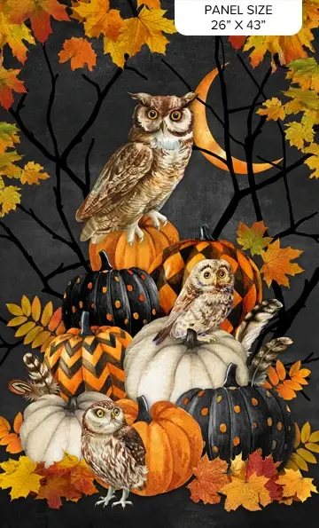 Night Owl