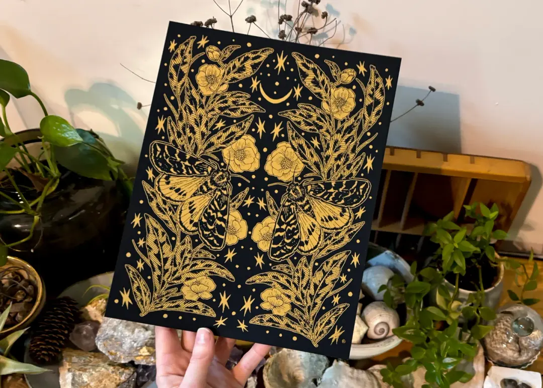 Midas Print No. 4 Moths