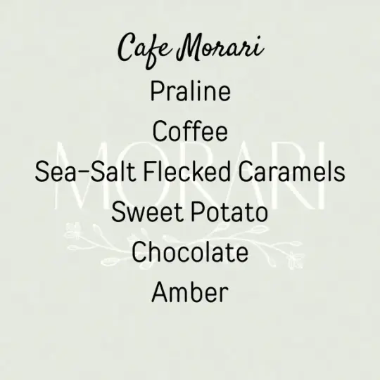 Cafe Morari