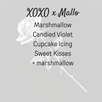 XOXO x Mallo