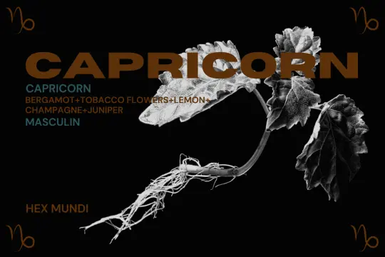 Capricorn Parfum - Masculin