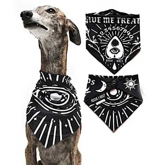 Give Me Treatos Ouija Pet Bandana in Black with Snap Closure