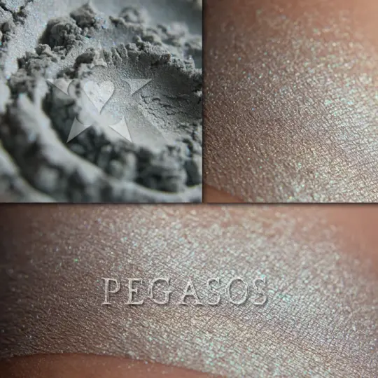 PEGASOS - highlighter - CLEARANCE