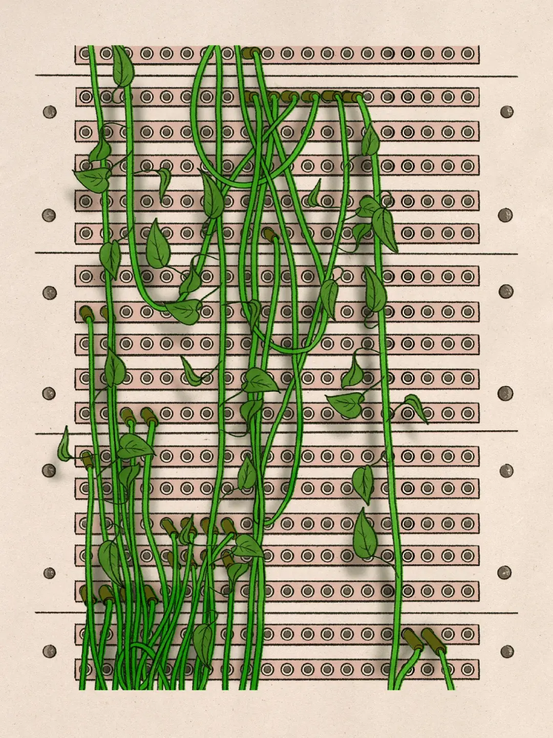 NEW! Plant-Based Patching - Available in 2 sizes