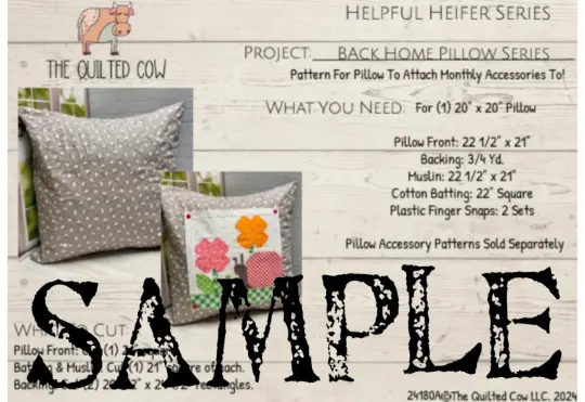 Back Home Pillow Series 25/26