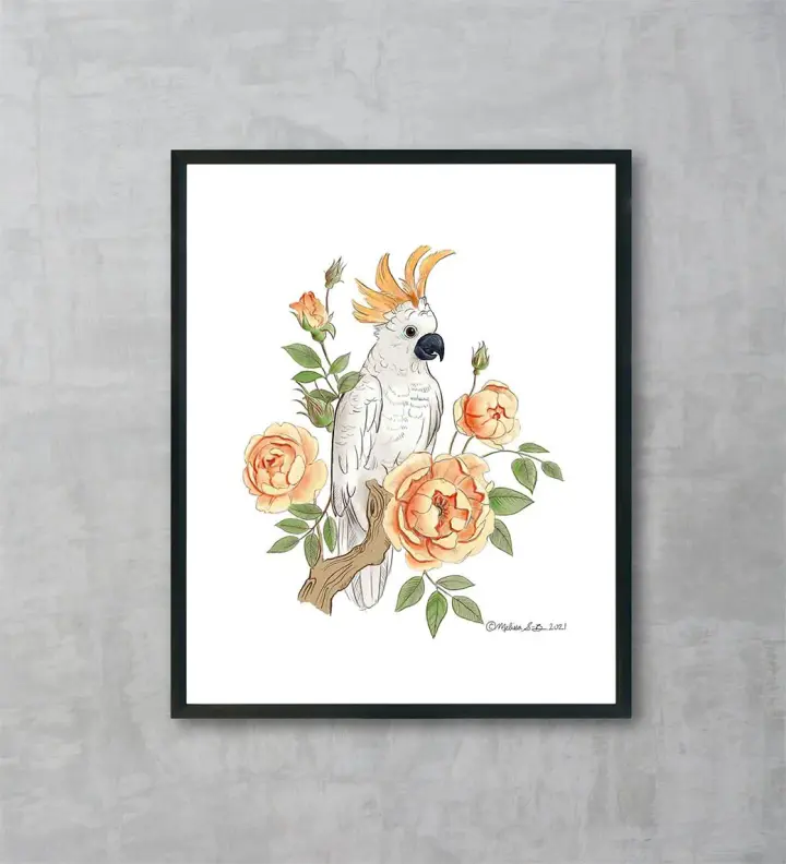 Cockatoo and Roses Fine Art Print