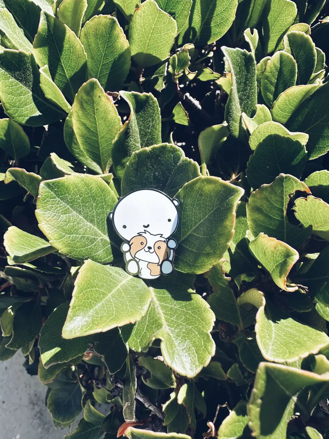 ANDIE bear enamel pin - HERBIE design