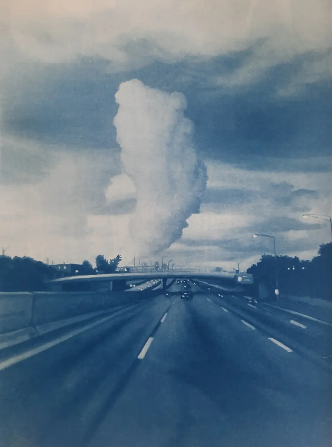 "Eisenhower" Cyanotype