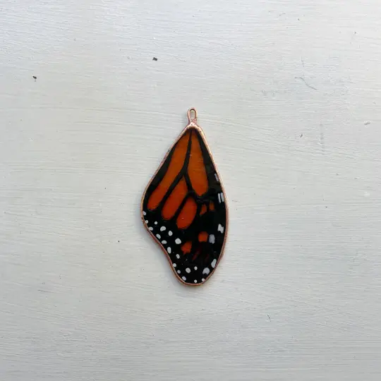 Monarch Butterfly Wing no.8