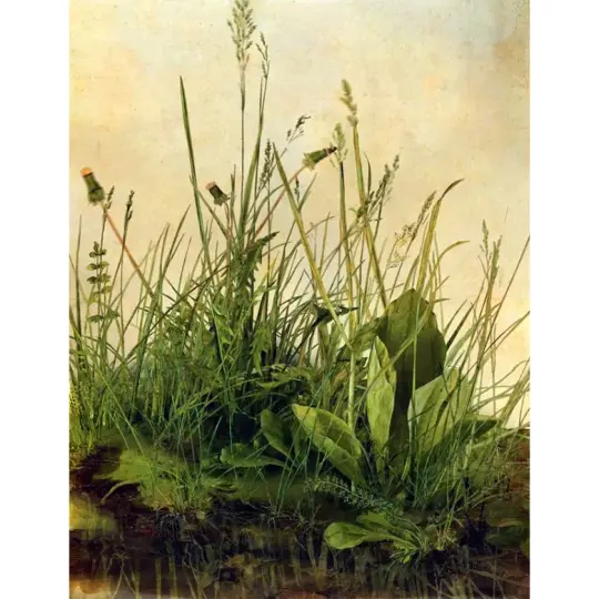 The Great Clod (Durer) Perfume Oil