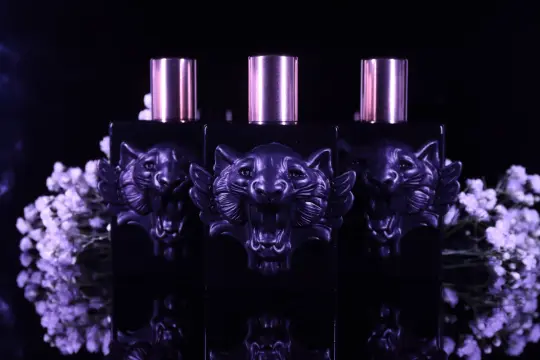 Witch House Eau De Parfum | Studio Edition Collectors Bottle
