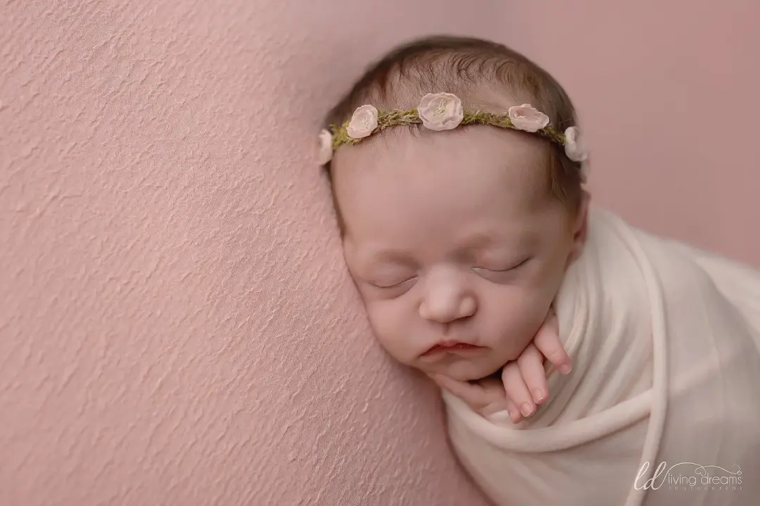 Bijou (peachy pink) Beanbag Backdrop