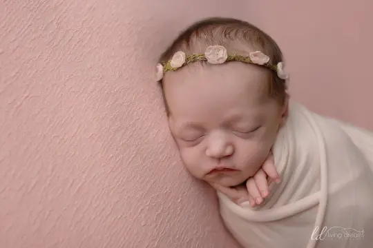 Bijou (peachy pink) Beanbag Backdrop