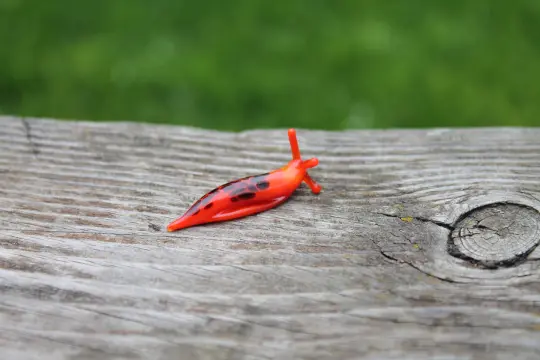 Bright Red Glass Slug Figurine With Spots — Handmade Miniature