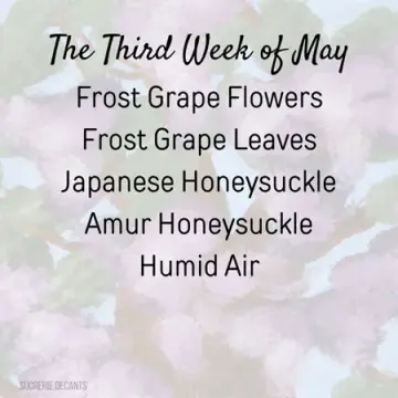 The Third Week of May