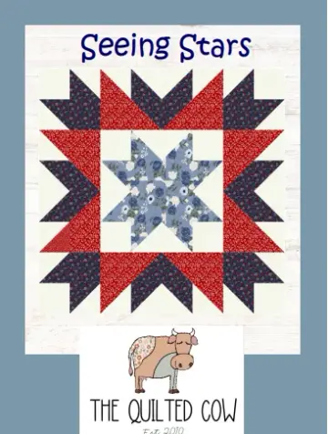 Seeing Stars Quilt