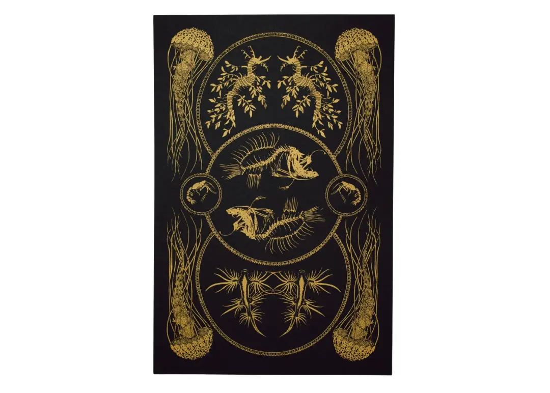 Sea Creatures Curiosity Poster