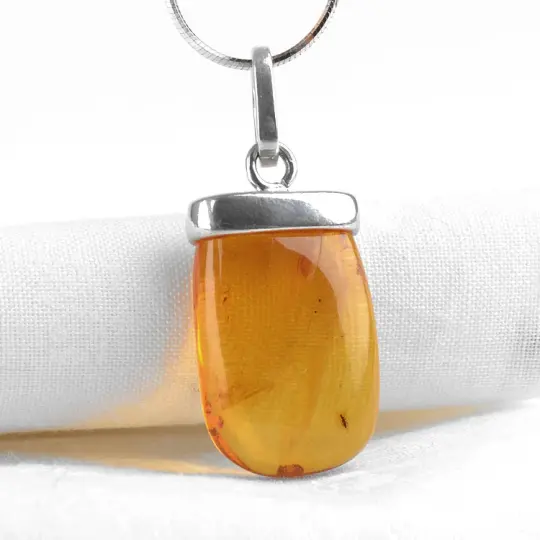 Insect Inclusion Pendant from Russia