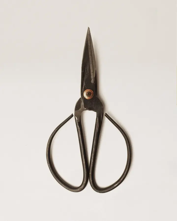 Forged Steel Scissors
