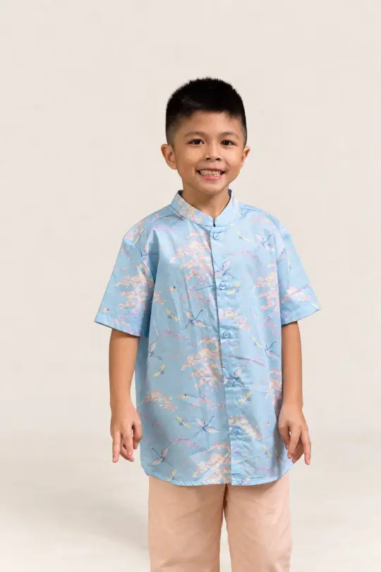 Mandarin-collared Shirt - Blue Cranes