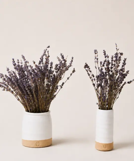Lavender Vase Set