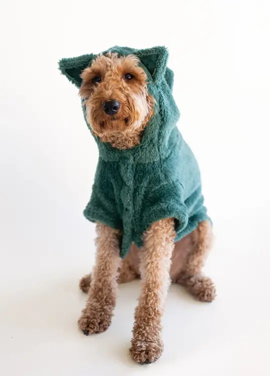 Meowza Pet Hoodie in Deep Teal