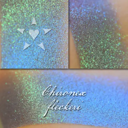 CHIRONEX  - chromatic Eyeshadow